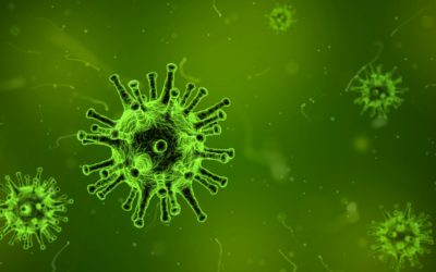 Corona Virus